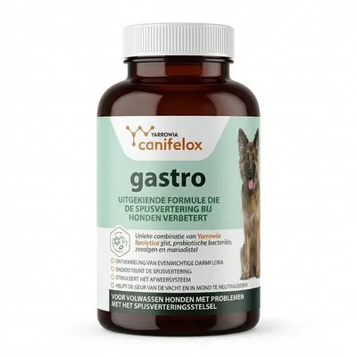 Produktbild von Canifelox Gastro 240 g – Ergänzungsfuttermittel für Hunde – Mit Probiotika, Meeresalgen & Mariendistel