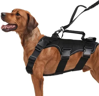 Image de Harnais pour chien Azomor, réfléchissant et respirant, avec trois poignées et une sangle