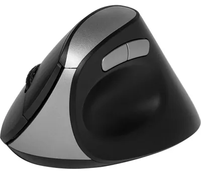 Produktbild von Rapoo EV250, rechts, Optisch, RF Wireless, 1600 DPI, Schwarz, Silber