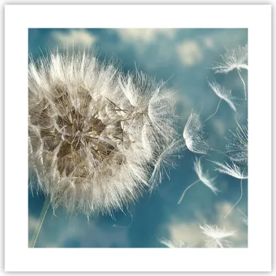 Produktbild von Poster - Poster ohne Rahmen - Baby Sommer Pflanze - 40x40 cm - Wand Bild - Wanddeko - Wandbilder - Kunstposter - Wandposter - Bilder - Kunstdruck - Wanddekoration - Wandbild - P2XAC40x40-3567