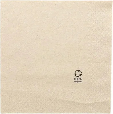 Obrázok produktu pre 2-vrstvové obrúsky "Recyklované" 33 x 33 cm 100 kusov.