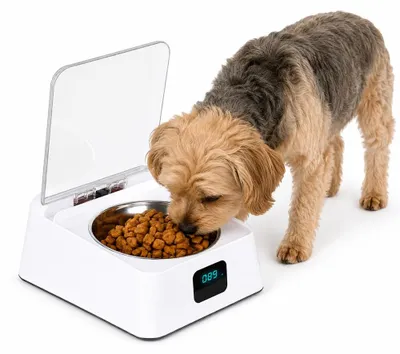 Automatischer Futterspender, 350 ml, Infrarotsensor, für Katzen