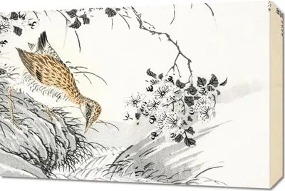 Obrázok produktu pre Obraz Sandpiper, 60 x 40 cm, japonský Kashu Vintage do obývacej izby