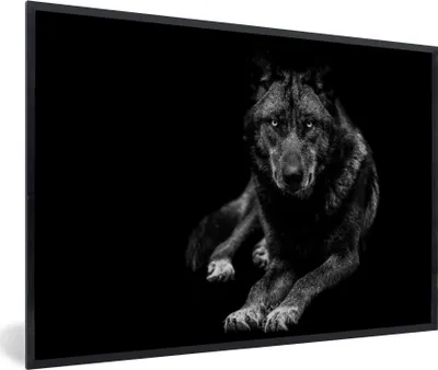 Produktbild von MuchoWow® Gerahmtes Poster Tiere - Wolf - Schwarz - Weiß - Porträt 90x60 cm - Poster mit Schwarzem Bilderrahmen Wandposter Rahmen Foto Bilder - Fotorahmen - Foto-Plakat