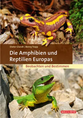 Immagine prodotto di Die Amphibien und Reptilien Europas