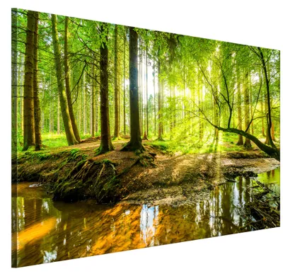 Produktbild von LUMASOUL Leinwand Bilder, Leinwandbild Natur Motiv, Wandbilder Holzrahmen und Webstuhl Wohnzimmer und Schlafzimmer, Bilder 90x60 cm Eklektisch Wald 08