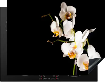 Produktbild von KitchenYeah© Herdabdeckplatte Orchidee - Blumen - Pflanzen - Botanisch , 77x59cm, Küche Deko, Glaskeramikkochfeld Herdabdeckung, Abdeckplatte fùr Kochfeld
