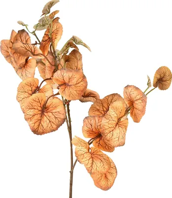 Produktbild von Künstliche Heuchera Dekoblätter für herbstliche Arrangements
