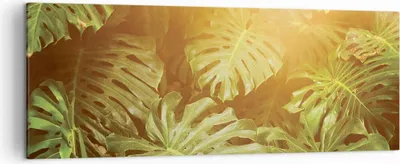 Produktbild von Bild auf Leinwand - Leinwandbild - Einteilig - Blätter Monstera Licht - 140x50cm - Wand Bild - Wanddeko - Wandbilder - Leinwanddruck - Bilder - Wanddekoration - Leinwand bilder - AB140x50-4540