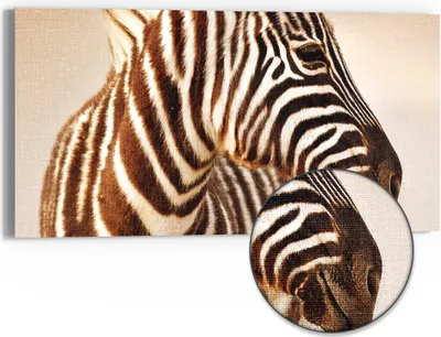 Produktbild von DEQORI Hybrid Leinwand Bild 60x30 cm 'Savannenstreifen' Wandbild Glas flach modern