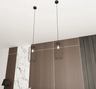 Immagine prodotto di Lampada a sospensione industriale ovale nera con paralume in filo metallico, regolabile, VANDER 1xE27 15W Emibig