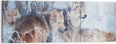 Produktbild von Bild auf Leinwand - Leinwandbild - Wolf Tier Wald - 150x50cm - Wand Bild - Wanddeko - Wandbilder - Leinwanddruck - Bilder - Kunstdruck - Wanddekoration - Leinwand bilder - Wandkunst - CA150x50-3770