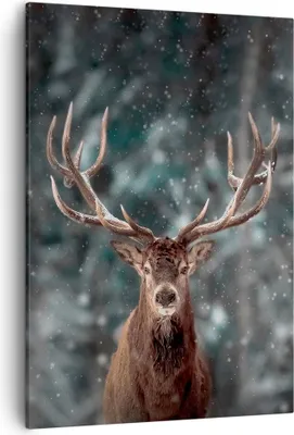 Produktbild von Bild auf Leinwand - Leinwandbild - Einteilig - Hirsch Hirsch Winter - 50x70cm - Wand Bild - Wanddeko - Wandbilder - Leinwanddruck - Wanddekoration - Leinwand bilder - Wandbild - PA50x70-4998