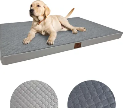 A light-colored puppy lies on a gray orthopedic dog bed.