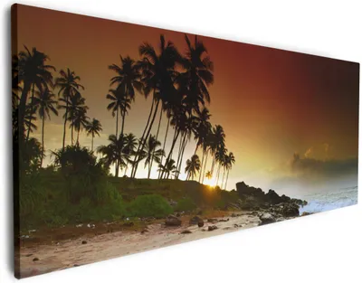 Produktbild von Wallario Premium Leinwandbild Sri Lanka - Palmenstrand mit Sonnenuntergang in Größe 60 x 150 cm