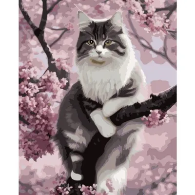 Produktbild von Maaleo 22783 Malen nach Zahlen – Katze, 40 x 50 cm