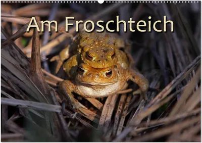 Produktbild von Am Froschteich (Wandkalender 2025 DIN A2 quer), CALVENDO Monatskalender