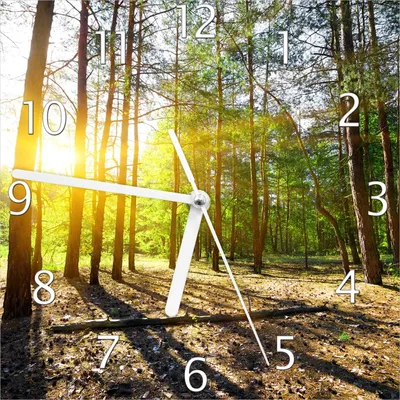 Produktbild von Wallario Design Wanduhr Sonnenstrahlen tief hinter dem Wald aus Echtglas, Größe 20 x 20 cm