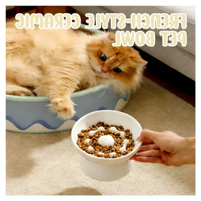 Produktbild von Erhöhter Anti-Schlingnapf für Katzen, Slow Feeder für Nassfutter 200ML, Keramik, Weiß (13,5*10,5*8,5CM)
