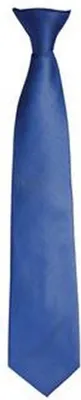 Image de Cravate clip-on Premier pour homme, différentes couleurs RW1163 (taille unique) (Noir)