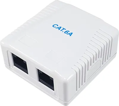 Image de Equip 2-Port Cat.6A Surface Mount Box