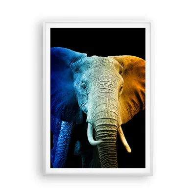 Produktbild von Gerahmtes Poster - Weißer Rahmen - Bunt Elefant Fotografie - 70x100 cm - Wand Bild - Wanddeko - Wandbilder - Kunstposter - Wandposter - Bilderrahmen - Bilder - Kunstdruck - P2WPA70x100-4768