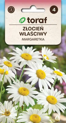 Zdjęcie produktu dla Złocień właściwy MARGARETKA Nasiona kwiatów - 682 Toraf