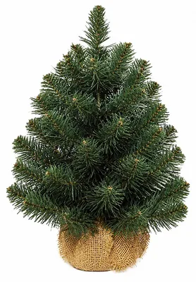 Produktbild von Weihnachtsbaum Künstlich im Topf H 45, 60 oder 90 cm naturgetreu Tannenbaum Kunststoff Dichte Zweige Kunstbaum
