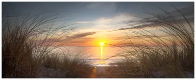 Produktbild von Wallario Premium Glasbild, freischwebende Optik, kräftige Farben, Größe 80 x 32 cm Motiv Sonnenuntergang am Strand