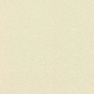 Produktbild von Vliestapete 555837 Tapete Uni Einfarbig 53 x 1005 cm Rasch Lirico Beige