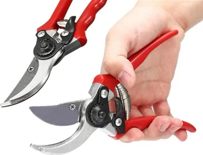 A hand holding a pair of red and silver garden shears, with another pair of shears in the background.