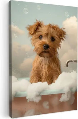 Produktbild von MuchoWow® - Leinwandbilder - Hund - Bad - Tiere - Schaumstoff, Wandbild, Wanddeko Bilder Wohnzimmer, 20x30 cm