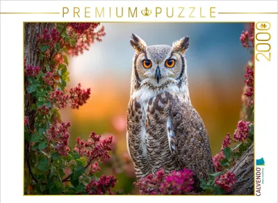 Produktbild von CALVENDO Puzzle Der Uhu auf der Lauer | 2000 Teile Lege-Größe 90x67cm Foto-Puzzle für glückliche Stunden
