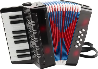 Image de Accordéon pour enfants Proline noir