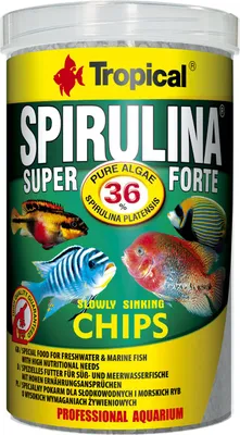 Immagine prodotto di Spirulina 36% Chips (100 ml)