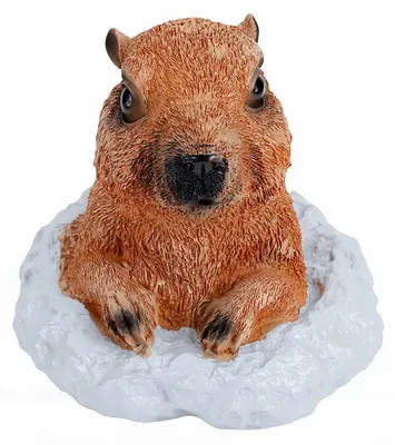 Murmeltier-Statue aus Harz, 16 x 14 x 14 cm, wetterfest, Gartendeko