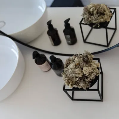 Produktbild von Reindeer Moss – Island Moos – Deko Moos in Natur, Pink, Lila, Orange, Rosa & Grün – 250g oder 500g – Natürliches, pflegeleichtes & luftreinigendes Dekomaterial – Für Wandbilder, Tischdeko & Pflanzenarrangements