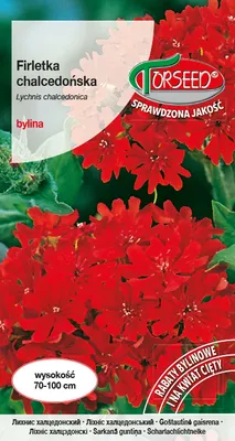 Produktbild von Samen von Firletia chalcedony rot 0.5g - Torseed