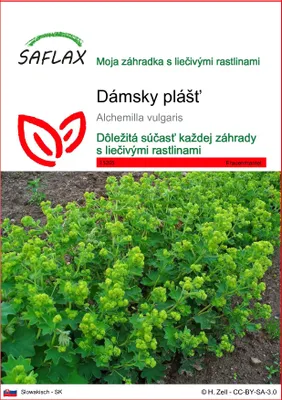 Obrázok produktu pre SAFLAX - dámsky plášť - Alchemilla vulgaris - 100 Semená