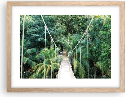 Produktbild von Gerahmtes Poster - Rahmen in heller Eiche - Tropen Dschungel Brücke - 40x30 cm - Wand Bild - Wanddeko - Wandbilder - Kunstposter - Wandposter - Bilderrahmen - Bilder - Kunstdruck - P2NAA40x30-4963