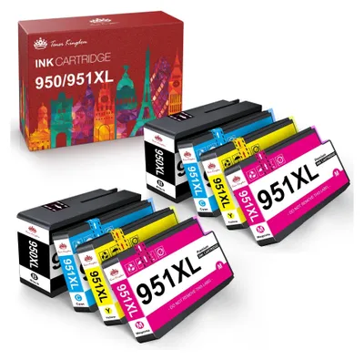A box of ink cartridges and several ink cartridges are displayed on a white background.