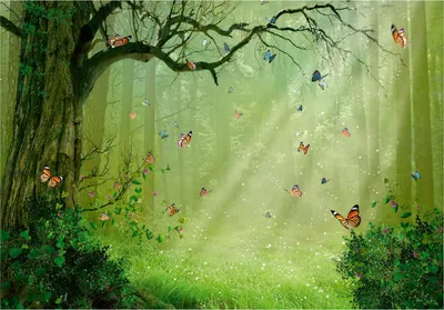 Produktbild von Vlies Fototapete Kinderzimmer Wald Schmetterlinge (416x254 cm - inkl. kleister) Tapete Kindertapete Babyzimmer Modern Fototapeten Wandtapete Motivtapeten XXL Vliestapete UV-Beständig Montagefertig