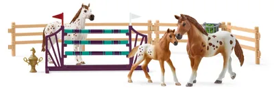 Produktbild von Horse Club Lisas Turnier-Training