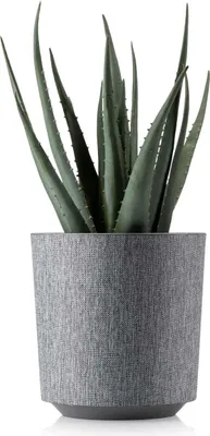 Immagine prodotto di HowHomely | Fioriera Aloe Texelle, Grigio - 19,5 x 20 cm - Vasi da fiori, Design elegante, Facile da curare