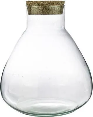 Imagen del producto de terrario Flasche Sammie vidriogefäß para geschlossenes terrario fácil cuidado