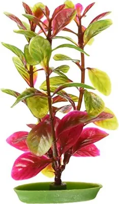 Obrázek produktu pro MARINA AQUASCAPER SMALL. ROTE LUDWIGIA 12,5 cm