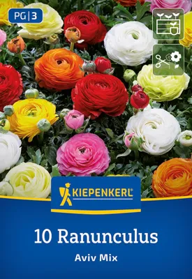 Produktbild von Kiepenkerl Blumenzwiebeln Ranunkelmischung 10 Pflanzen