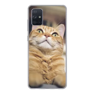 Produktbild von MuchoWow® Handyhülle Schutzhülle Hülle für Samsung Galaxy A71 Katze - Bank - Orange Silikon Softcase Handy Hülle - Kartenbesitzer