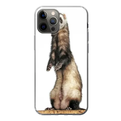 Produktbild von MuchoWow® Handyhülle Schutzhülle Hülle für iPhone 13 Pro Frettchen - Tiere - Fell Silikon Softcase Handy Hülle - Handy-Tasche
