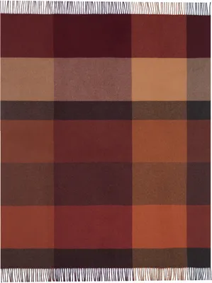 Produktbild von Biederlack Plaid mit Fransen Pleasant  Farbe ruby Größe 130 x 170